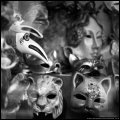 Image 72/80 : img054.jpg